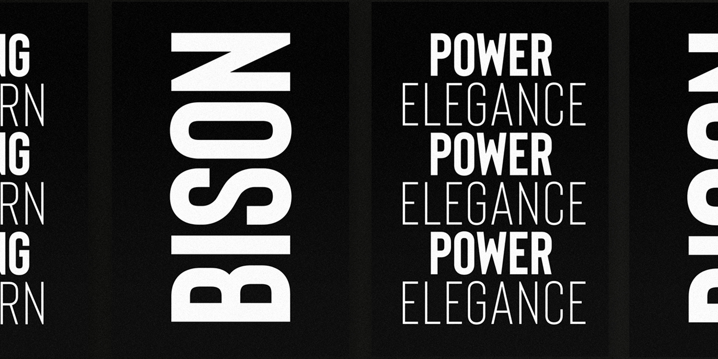 Пример шрифта Bison Light Italic